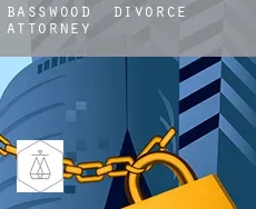 Basswood  divorce attorney