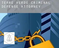 Terre Verde  criminal defense attorney