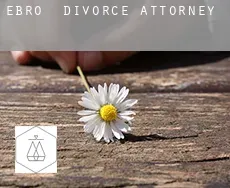 Ebro  divorce attorney