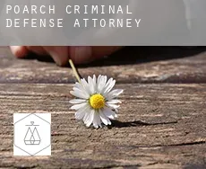 Poarch criminal defense attorney
