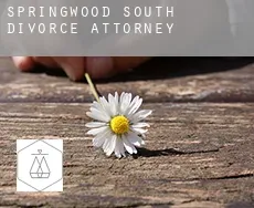 Springwood South  divorce attorney