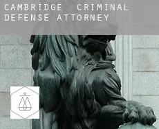 Cambridge  criminal defense attorney