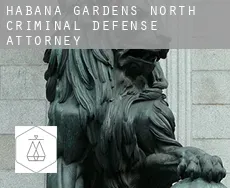 Habana Gardens North  criminal defense attorney
