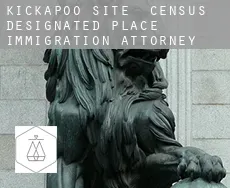 Kickapoo Site 1  immigration attorney