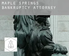 Maple Springs  bankruptcy attorney