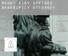 Mount Airy Springs  bankruptcy attorney