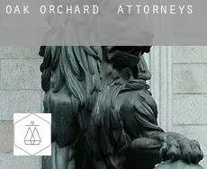Oak Orchard  attorneys