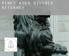 Piney Wood  divorce attorney