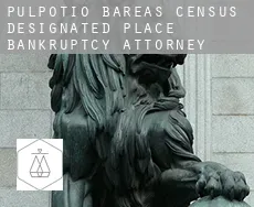 Pulpotio Bareas bankruptcy attorney