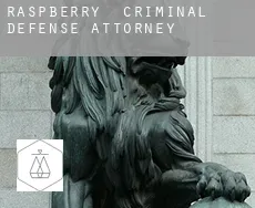 Raspberry  criminal defense attorney