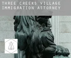 Three Creeks Village  immigration attorney