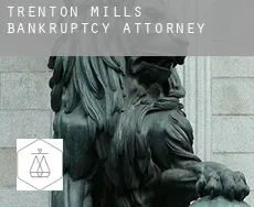 Trenton Mills  bankruptcy attorney