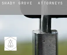 Shady Grove attorneys