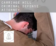 Carriage Hill  criminal defense attorney