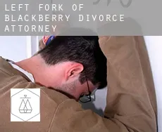 Left Fork of Blackberry  divorce attorney