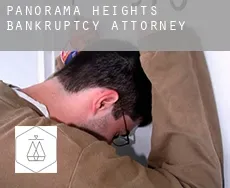 Panorama Heights  bankruptcy attorney
