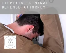 Tippetts  criminal defense attorney