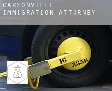 Carsonville  immigration attorney