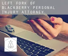 Left Fork of Blackberry  personal injury attorney