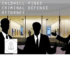 Caldwell Pines  criminal defense attorney