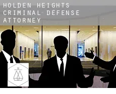 Holden Heights  criminal defense attorney