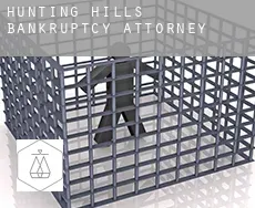 Hunting Hills  bankruptcy attorney