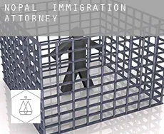 Nopal  immigration attorney