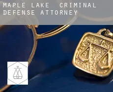Maple Lake  criminal defense attorney