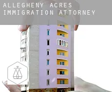 Allegheny Acres  immigration attorney