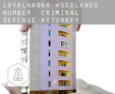Loyalhanna Woodlands Number 1  criminal defense attorney
