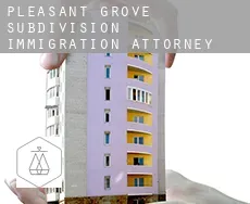 Pleasant Grove Subdivision  immigration attorney
