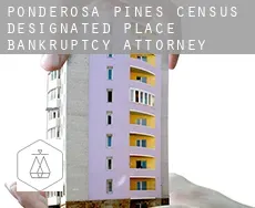Ponderosa Pines  bankruptcy attorney