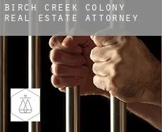 Birch Creek Colony  real estate attorney