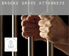 Brooke Grove  attorneys