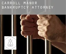 Carroll Manor  bankruptcy attorney