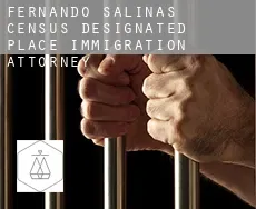 Fernando Salinas  immigration attorney