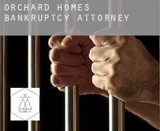 Orchard Homes  bankruptcy attorney