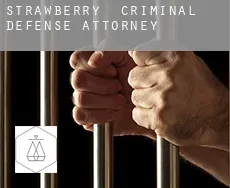 Strawberry  criminal defense attorney