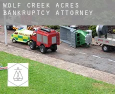 Wolf Creek Acres  bankruptcy attorney