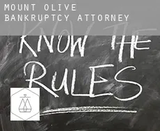 Mount Olive  bankruptcy attorney