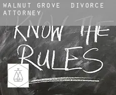 Walnut Grove  divorce attorney