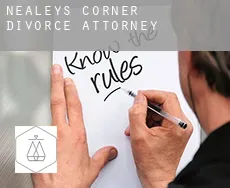 Nealeys Corner  divorce attorney