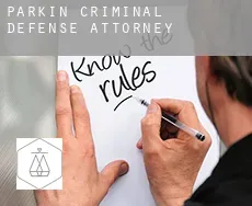Parkin  criminal defense attorney