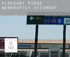 Pleasant Ridge  bankruptcy attorney