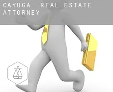 Cayuga  real estate attorney