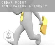 Cedar Point  immigration attorney