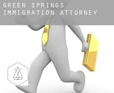 Green Springs immigration attorney