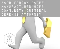 Saddlebrook Farms Manufactured Home Community  criminal defense attorney