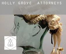 Holly Grove  attorneys