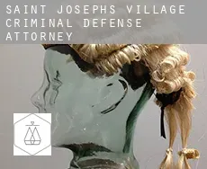 Saint Josephs Village  criminal defense attorney